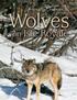 Ecological Studies of Wolves on Isle Royale