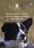 Tackling livestock worrying and encouraging responsible dog ownership