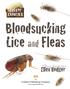 Bloodsucking Lice and Fleas