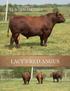 PAGE 1 LACY S RED ANGUS