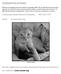 CONGRATULATIONS! Community Animal Rescue & Adoption: (601)