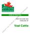 CODE OF PRACTICE FOR THE CARE AND HANDLING OF. Veal Cattle
