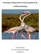 Advantages of Reproductive Synchronization in the. Caribbean Flamingo