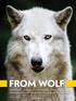 FROM WOLF. Scientists are racing to solve the enduring mystery of how a large, dangerous carnivore evolved into our best friend By Virginia Morell