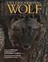 Loss of wildlands could increase wolf-human conflicts, PA G E 4 A conversation about red wolf recovery, PA G E 8