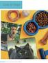 Cats & Dogs. page 192 / cats & dogs sq Wall calendars