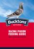 RACING PIGEON FEEDING GUIDE TRIED, TESTED AND TRUSTED