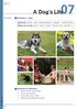 A Dog s Life. Unit 7. Speaking. Vocabulary - Dogs. Dog breeds: poodle husky German shepherd Labrador Yorkshire terrier