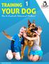 Training Your Dog. Legal Notice