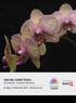 ORCHID COMPETITION Prize Schedule Competition Information. 31 August - 9 September 2018 theshow.com.au