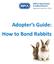 Adopter s Guide: How to Bond Rabbits