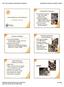 Companion Animals. Animal Facilities DOGS. Animal Behavior/Restraint: Companion Animals. General Companion Animal Behavior