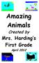 Amazing Animals. Created by. Mrs. Harding s First Grade