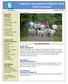Samoyed Association of Mpls/St. Paul Club Newsletter
