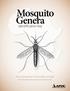 Mosquito Genera. Identification Key. Africa Command Area of Responsibility and Egypt