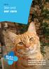 CAT 12. Skin and ear care. The charity dedicated to helping sick, injured and homeless pets since 1897.