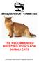 BREED ADVISORY COMMITTEE THE RECOMMENDED BREEDING POLICY FOR SOMALI CATS