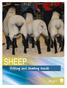 SHEEP. Fitting and showing Guide