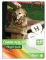 Canine Agility. Project Guide.