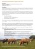 Optimising animal health on organic cattle farms