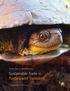 Action Plan for North America. Sustainable Trade in Turtles and Tortoises. Commission for Environmental Cooperation
