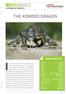 THE KOMODO DRAGON. endangered species L ARCHE PHOTOGRAPHIQUE CHARACTERISTICS. Animal Phylum. Kingdom