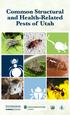 Common Structural and Health-Related Pests of Utah