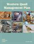 Western Quail Management Plan