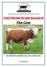 Irish Moiled Breed Standard. The Cow. An excellent example of an Irish Moiled cow. 1 st Edition