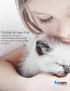 Caring for your Cat A guide to caring for, understanding and getting to know your cat from kitten to senior