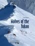 Wolves of the Yukon. Bob Hayes