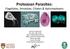 Protozoan Parasites: Flagellates, Amoebae, Ciliates & Apicomplexans