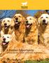 A Golden Opportunity to Improve the Health of Golden Retrievers