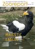 the magazin for friends of the Brno Zoo No. 3 September 2017 MAJESTIC EAGLES