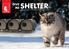 SHELTER OPEN-SOURCE SHELTERS FOR FERAL CATS