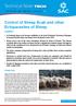 Technical Note TN636. Control of Sheep Scab and other Ectoparasites of Sheep