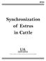 MP383 Synchronization of Estrus in Cattle