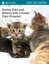 SHELTER SERIES. Saving Cats and Kittens with a Foster Care Program