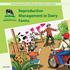 Practical manual for small scale dairy farmers in Vietnam. Reproductive Management in Dairy Farms
