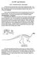 Geo 302D: Age of Dinosaurs. LAB 7: Dinosaur diversity- Saurischians