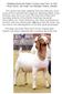 Breeding Savannah Goats: Function over Form, or Not? Brian Payne, Keri-Rose, Fort Macleod, Alberta, Canada