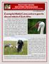 WATTLED CRANE RECOVERY PROGRAMME Ensuring that Wattled Cranes continue to grace the skies and wetlands of South Africa