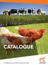 Catalogue. VeterinaRy solutions from holland