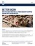 BETTER BACON WHY IT S HIGH TIME THE U.S. PORK INDUSTRY STOPPED PIGGING OUT ON ANTIBIOTICS