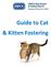 Guide to Cat. & Kitten Fostering