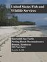 United States Fish and Wildlife Services. Hawksbill Sea Turtle Nesting Beach Reconnaissance Roatan, Honduras 2008 Final Report