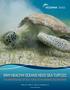 WHY HEALTHY OCEANS NEED SEA TURTLES: THE IMPORTANCE OF SEA TURTLES TO MARINE ECOSYSTEMS. Wilson, E.G., Miller, K.L., Allison, D. and Magliocca, M.