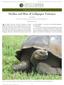Decline and Rise of Galápagos Tortoises