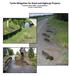 Turtle Mitigation for Road and Highway Projects Pembroke District MNR Interim Guidelines Version 1.0 (April 2014)