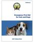 Emergency First Aid for Cats and Dogs